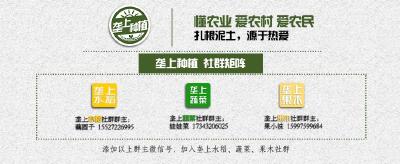 种油菜的乡亲们注意啦！省油菜办关于加强油菜春季田管的技术意见