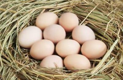 湖北省消委发布消费提示：买鸡蛋别掉进“土”陷阱 商标要留心