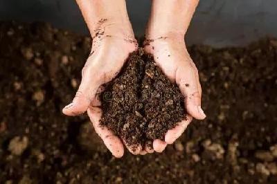酸化、盐渍化、板结…蔬菜大棚土壤退化的原因分析