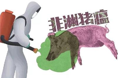 农业农村部、财政部印发2019年《动物防疫等补助经费项目实施方案》