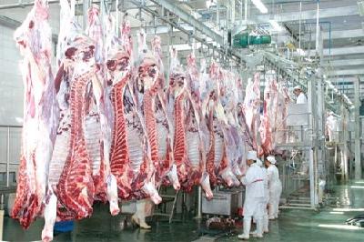 农业农村部：5月1日前对生猪屠宰企业进行全面清理