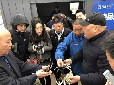 湖北养蟹人问道江苏