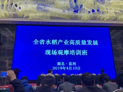 全省水稻高质量发展现场观摩培训班在监利县开班