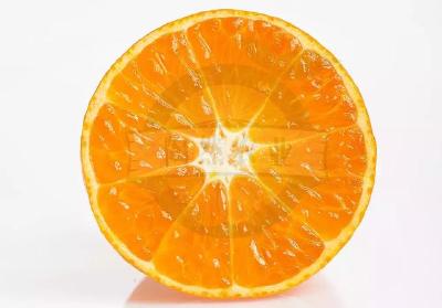 【柑橘】柑橘基础知识汇总篇