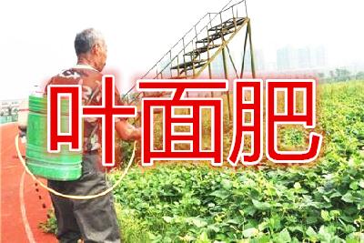叶面肥喷施浓度多少才合适？这说清楚了！（建议收藏）