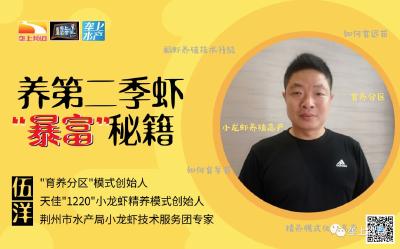 系列首发 | 全国进入甩苗模式，养好第二季小龙虾