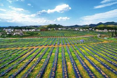 滩桥镇组织贫困户学创业知识 不让贫困户脱贫再返贫