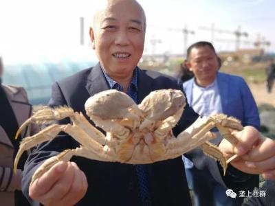 知道不，全国最好的蟹苗基地在哪？垄上水产带你看！