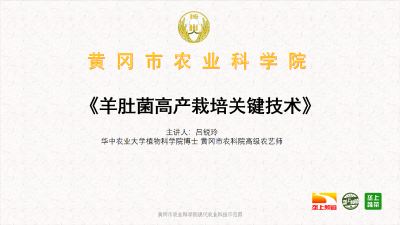 《长江云-垄上农学院》蔬菜种植微课堂之羊肚菌高产栽培技术