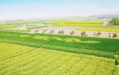湖北打造700万亩稻渔综合种养区，建设1500万亩优质油菜保护区