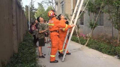 70多岁老人悬坐在5楼阳台，小半个身子悬在空中，问题竟出在女儿女婿身上