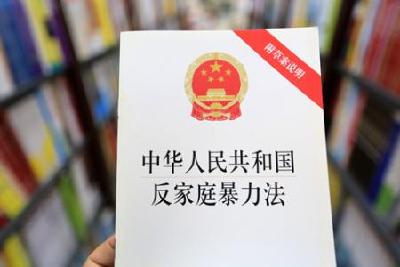 《湖北反家庭暴力条例》明起实施：违反人身保护令者将受失信惩戒