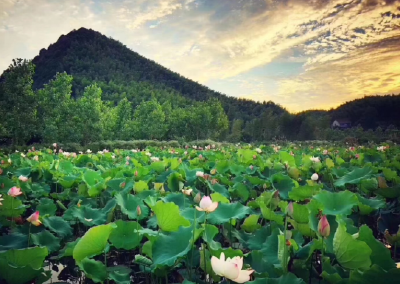 湖北京山市获2000万元全国农村人居环境整治激励县资金奖励