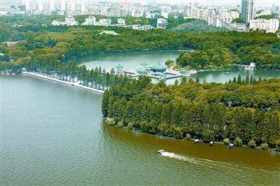 打造绿色画廊 公安县高标准推进长江沿岸绿化工作