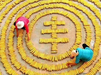 沙市、石首庆丰收活动纳入首届中国农民丰收节活动