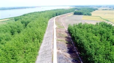 长江防护林三期工程 投资计划敲定 人工造乔木林20.7万亩