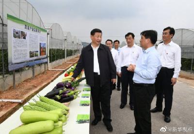 习近平祝福乡亲们：芝麻开花节节高，今后日子会更好！