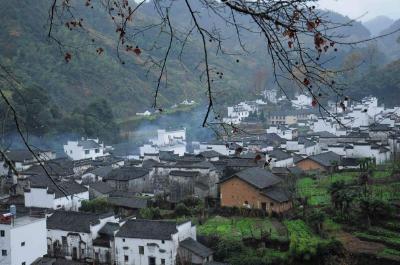 王晓东:强化统筹建设好生态宜居的美丽乡村