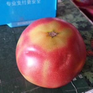 番茄膨果慢、转色差？原因竟然是这些