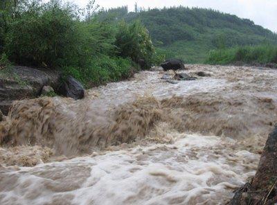 湖北发生大面积移动性强降雨 部分地区发生山洪