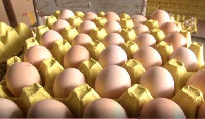 鸡蛋价格出现大幅度上涨！下半年行情走势如何？