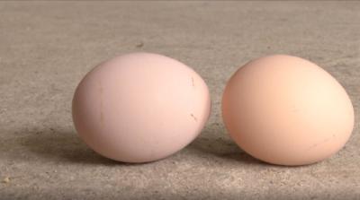 蛋价迎来“转折点”较去年同期涨幅近四成