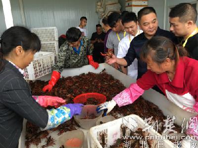 唱响湖北龙虾品牌 中国小龙虾烹饪大赛荆州赛区落幕