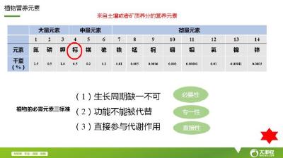 都说果蔬补钙要趁早，用的钙肥居然也还有讲究