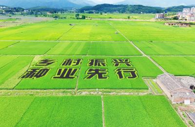 荆州加强农村基层党组织建设