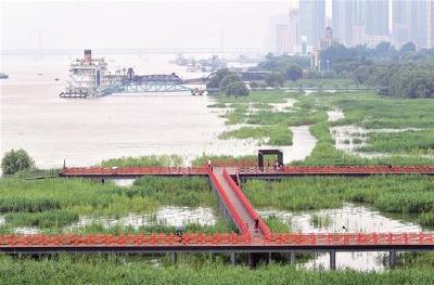 三峡水库加大出库流量 长江汉口站水位逼近25米