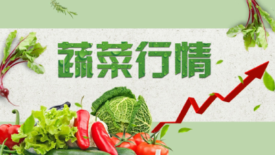 【今日菜价】6月6日湖北应季蔬菜产地行情