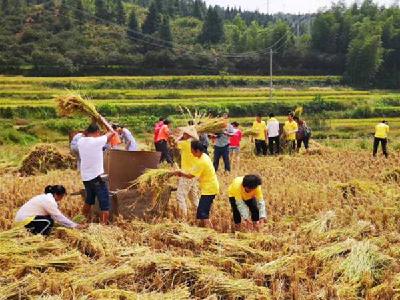 13部门联合印发意见强调 坚持农民主体办好“丰收节”