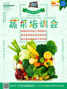 湖北省蔬菜协会专家教你种！垄上种植助你销，来见面聊！！