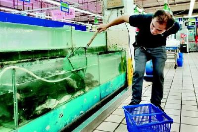 存货减少引发涨价 武汉今夏淡水鱼市场难“淡定”