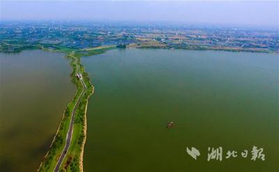 去年湖北省湖泊拆除围网1500亩 生态移民9318人