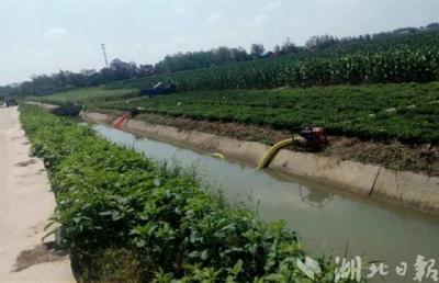 大范围高温少雨天气将持续至8月底 我省旱情快速蔓延