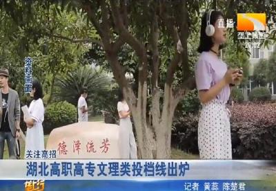 湖北高职高专文理类投档线出炉