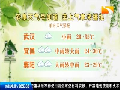 垄上气象站 2019-08-26