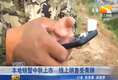 本地螃蟹中秋上市 线上销售受青睐