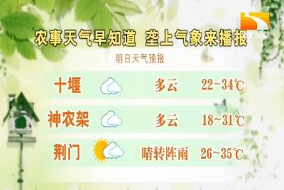 垄上气象站 2019-08-24
