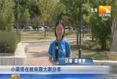 垄上七天 2019-08-25