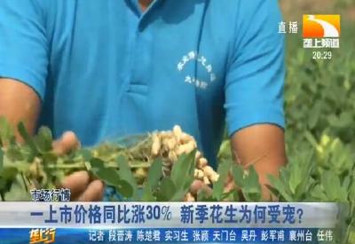 一上市价格同比上涨30% 新季花生为何受宠？