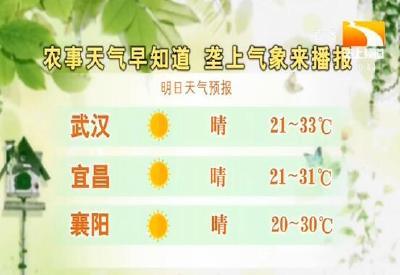 垄上气象站 2019-08-29