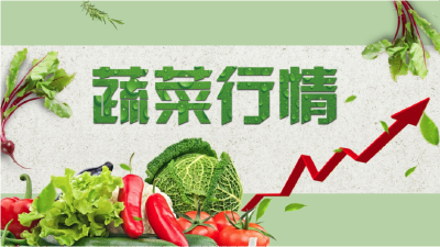 【今日菜价】8月19日湖北应季蔬菜产地行情