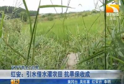 孝昌：14座泵站火力全开 3万亩稻田 “喝” 上 “救命水”