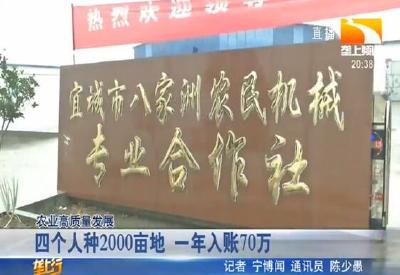 四个人种2000亩地 一年入账70万
