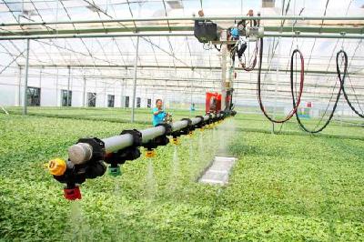 武汉扩大蔬菜机械购机补贴范围 农户最高补20万元