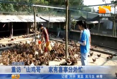 重访“山鸡哥” 家有喜事分外忙