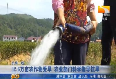 32.6万亩农作物受旱 农业部门科学指导抗旱
