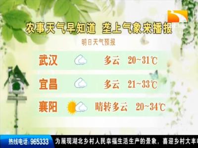 垄上气象站 2019-08-28